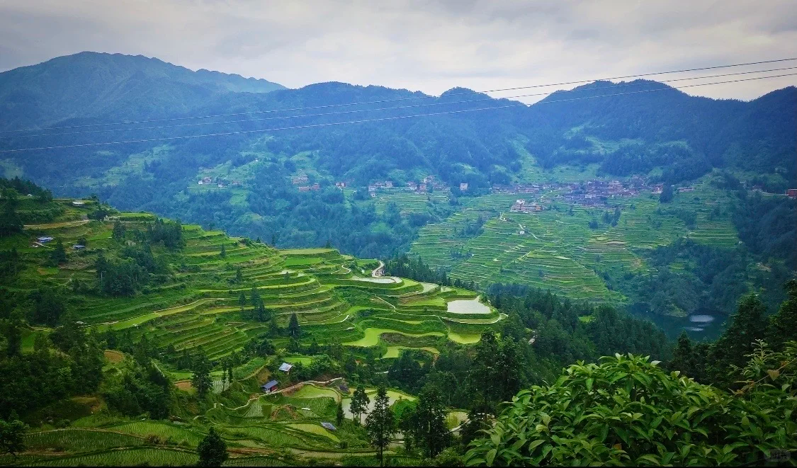 乡村蝶变:解码贵州乡村振兴的政治担当